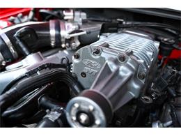 2003 Ford Mustang SVT Cobra (CC-1713454) for sale in Warner Robins, Georgia