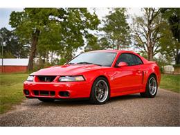 2003 Ford Mustang SVT Cobra (CC-1713454) for sale in Warner Robins, Georgia