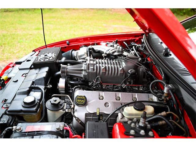 2003 Ford Mustang SVT Cobra (CC-1713454) for sale in Warner Robins, Georgia
