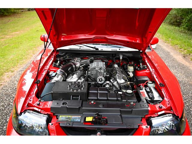 2003 Ford Mustang SVT Cobra (CC-1713454) for sale in Warner Robins, Georgia