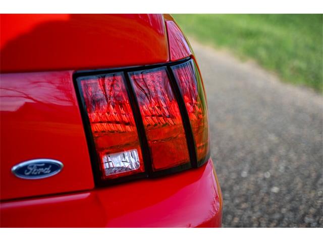 2003 Ford Mustang SVT Cobra (CC-1713454) for sale in Warner Robins, Georgia