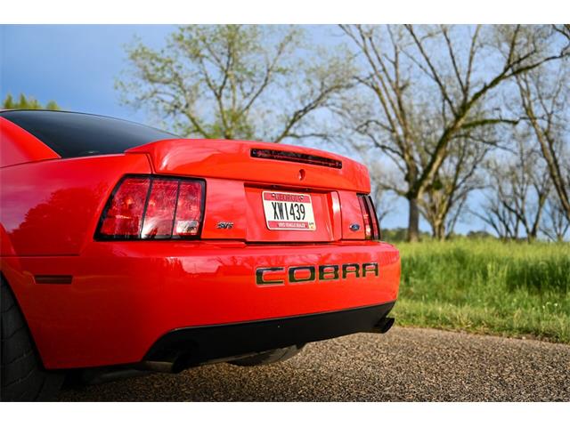 2003 Ford Mustang SVT Cobra (CC-1713454) for sale in Warner Robins, Georgia