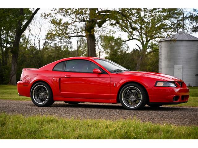 2003 Ford Mustang SVT Cobra (CC-1713454) for sale in Warner Robins, Georgia