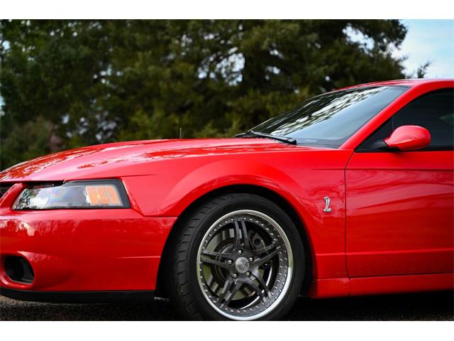 2003 Ford Mustang SVT Cobra (CC-1713454) for sale in Warner Robins, Georgia