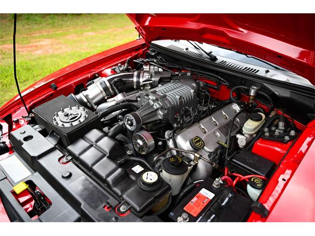 2003 Ford Mustang SVT Cobra (CC-1713454) for sale in Warner Robins, Georgia