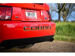 2003 Ford Mustang SVT Cobra (CC-1713454) for sale in Warner Robins, Georgia