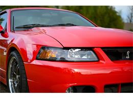2003 Ford Mustang SVT Cobra (CC-1713454) for sale in Warner Robins, Georgia