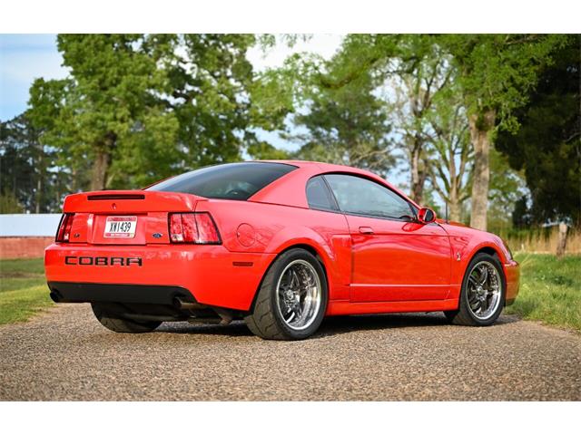 2003 Ford Mustang SVT Cobra (CC-1713454) for sale in Warner Robins, Georgia