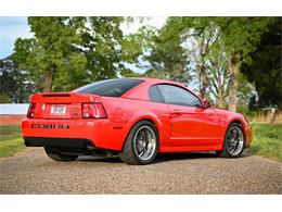 2003 Ford Mustang SVT Cobra (CC-1713454) for sale in Warner Robins, Georgia
