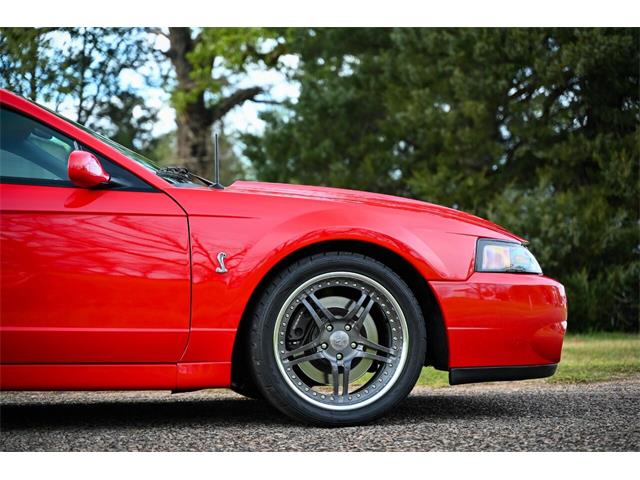 2003 Ford Mustang SVT Cobra (CC-1713454) for sale in Warner Robins, Georgia