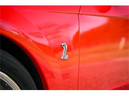 2003 Ford Mustang SVT Cobra (CC-1713454) for sale in Warner Robins, Georgia