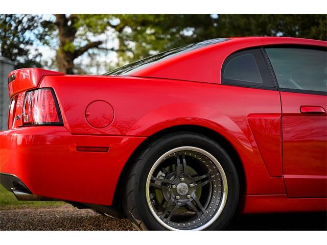 2003 Ford Mustang SVT Cobra (CC-1713454) for sale in Warner Robins, Georgia