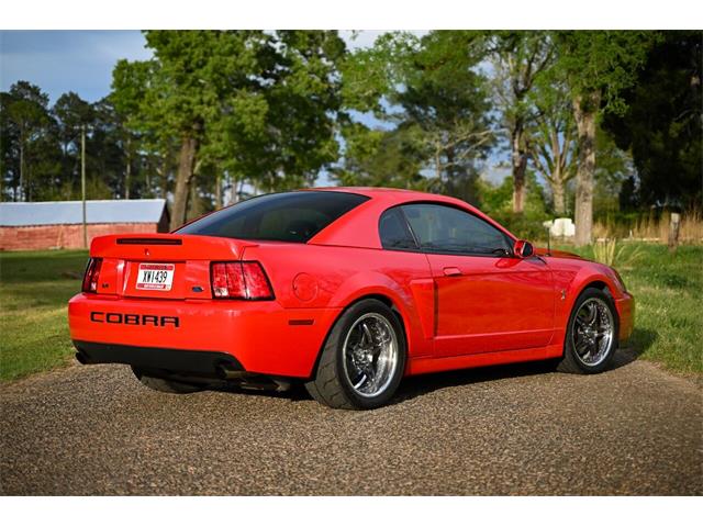 2003 Ford Mustang SVT Cobra (CC-1713454) for sale in Warner Robins, Georgia