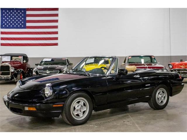 1991 Alfa Romeo Spider (CC-1713509) for sale in Kentwood, Michigan