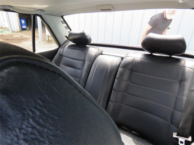 1984 Peugeot 505 (CC-1713930) for sale in Atlanta, Georgia