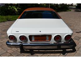 1975 AMC Matador (CC-1714224) for sale in Lakeland, Florida