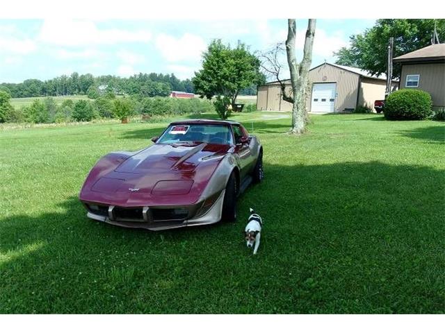 1977 Chevrolet Corvette (CC-1714479) for sale in Cadillac, Michigan