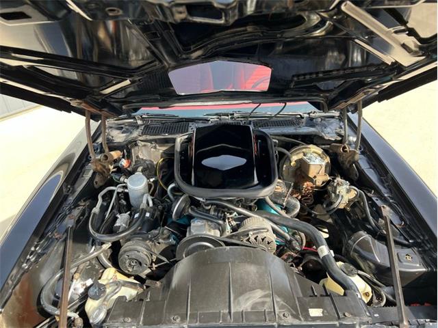 1980 Pontiac Firebird Trans Am (CC-1714619) for sale in Greene, Iowa