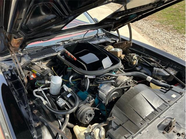 1980 Pontiac Firebird Trans Am (CC-1714619) for sale in Greene, Iowa
