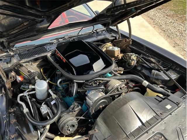 1980 Pontiac Firebird Trans Am (CC-1714619) for sale in Greene, Iowa