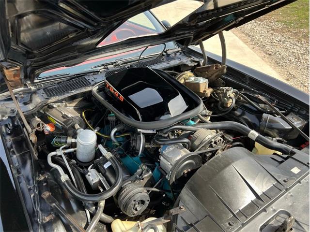 1980 Pontiac Firebird Trans Am (CC-1714619) for sale in Greene, Iowa