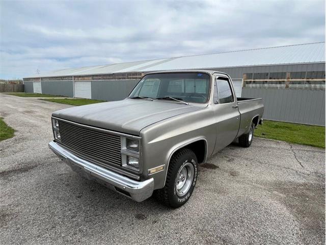 1981 GMC C/K 1500 (CC-1714903) for sale in Staunton, Illinois