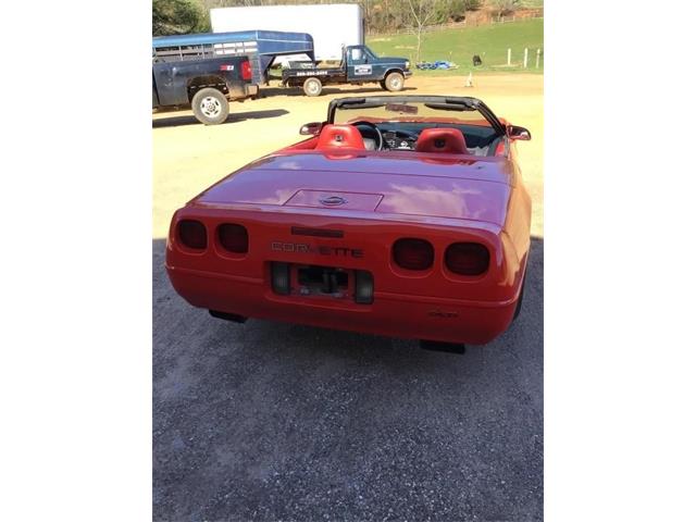 1994 Chevrolet Corvette (CC-1715146) for sale in Franklin, North Carolina