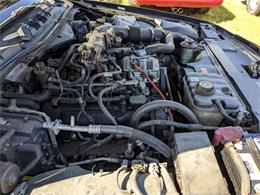 2008 Ford Police Car (CC-1715247) for sale in Gray Court, South Carolina