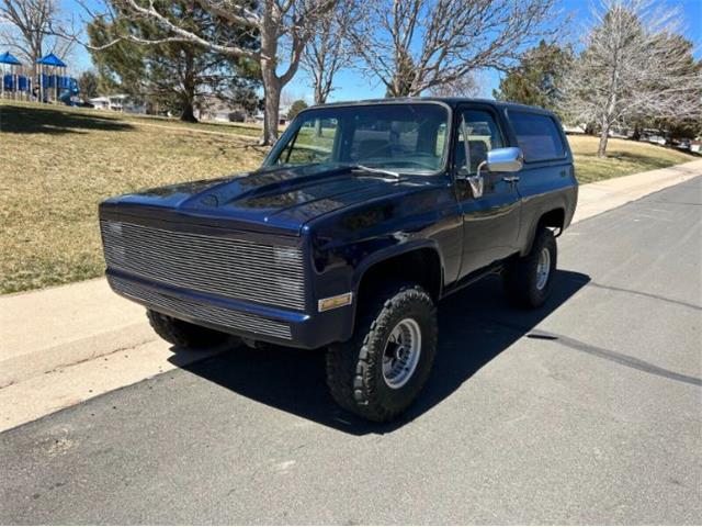 1983 Chevrolet Blazer (CC-1715669) for sale in Cadillac, Michigan