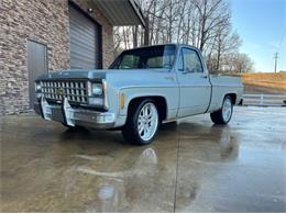 1980 Chevrolet C10 (CC-1716018) for sale in Cadillac, Michigan