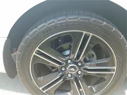 2014 Ford Mustang GT/CS (California Special) (CC-1716421) for sale in Orlando, Florida