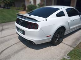 2014 Ford Mustang GT/CS (California Special) (CC-1716421) for sale in Orlando, Florida