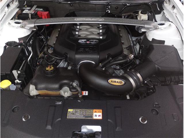 2014 Ford Mustang GT/CS (California Special) (CC-1716421) for sale in Orlando, Florida