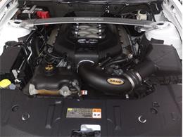 2014 Ford Mustang GT/CS (California Special) (CC-1716421) for sale in Orlando, Florida