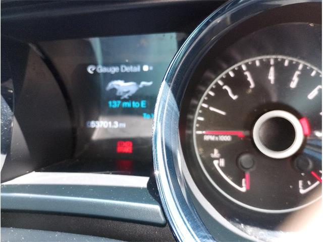 2014 Ford Mustang GT/CS (California Special) (CC-1716421) for sale in Orlando, Florida