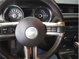 2014 Ford Mustang GT/CS (California Special) (CC-1716421) for sale in Orlando, Florida