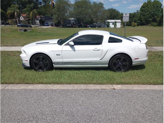 2014 Ford Mustang GT/CS (California Special) (CC-1716421) for sale in Orlando, Florida