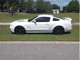 2014 Ford Mustang GT/CS (California Special) (CC-1716421) for sale in Orlando, Florida