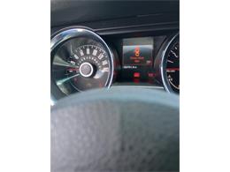 2014 Ford Mustang GT/CS (California Special) (CC-1716421) for sale in Orlando, Florida