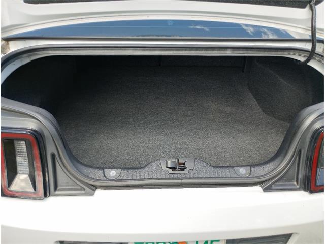 2014 Ford Mustang GT/CS (California Special) (CC-1716421) for sale in Orlando, Florida