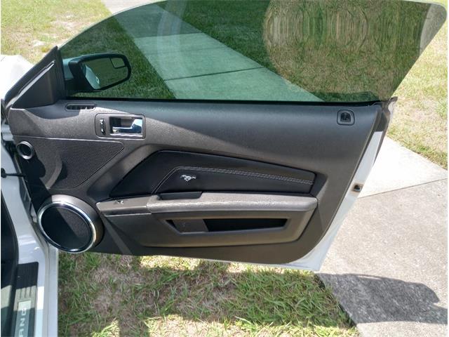 2014 Ford Mustang GT/CS (California Special) (CC-1716421) for sale in Orlando, Florida