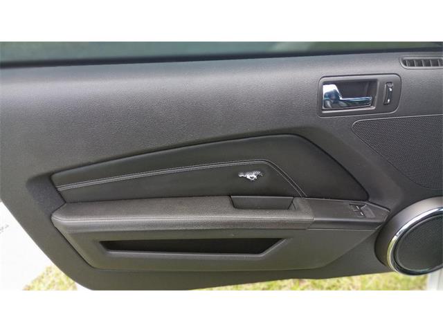 2014 Ford Mustang GT/CS (California Special) (CC-1716421) for sale in Orlando, Florida