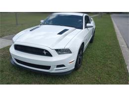 2014 Ford Mustang GT/CS (California Special) (CC-1716421) for sale in Orlando, Florida