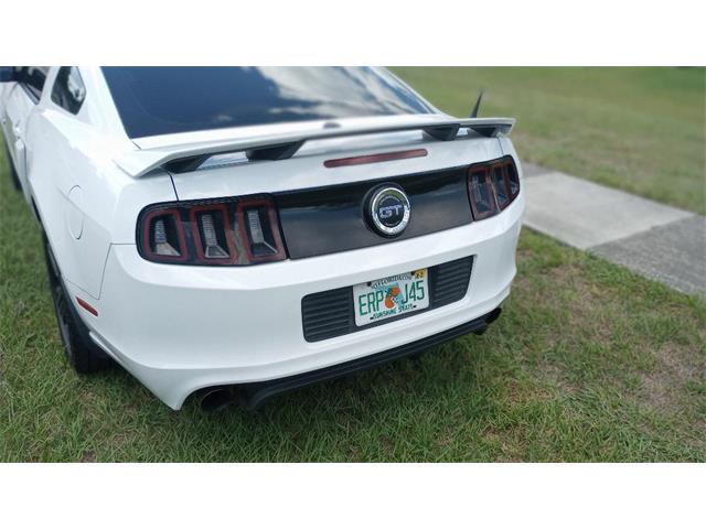 2014 Ford Mustang GT/CS (California Special) (CC-1716421) for sale in Orlando, Florida