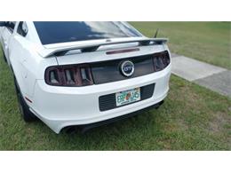 2014 Ford Mustang GT/CS (California Special) (CC-1716421) for sale in Orlando, Florida