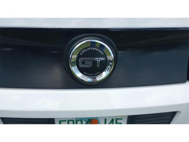 2014 Ford Mustang GT/CS (California Special) (CC-1716421) for sale in Orlando, Florida