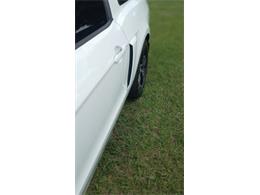 2014 Ford Mustang GT/CS (California Special) (CC-1716421) for sale in Orlando, Florida