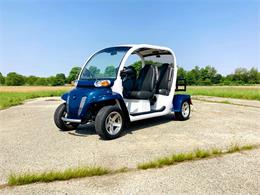 2013 Miscellaneous Golf Cart (CC-1716675) for sale in Cicero, Indiana