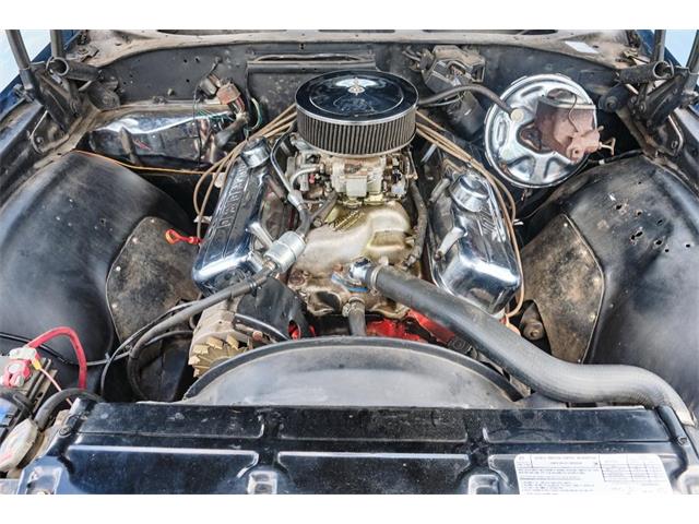 1971 Chevrolet Chevelle SS (CC-1716985) for sale in Winter Garden, Florida