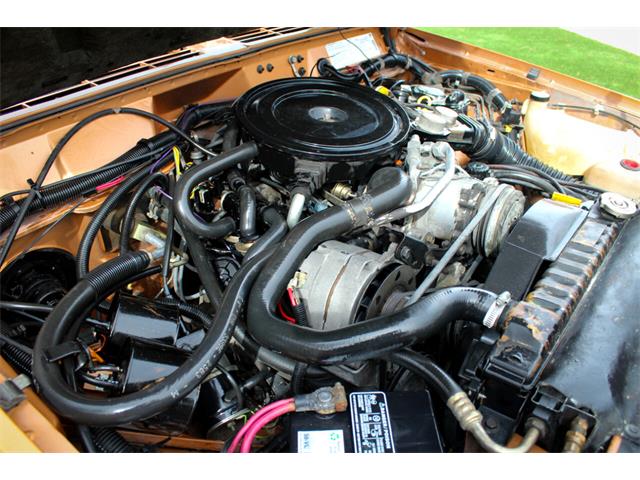 1984 Jeep Cherokee (CC-1717248) for sale in Greeley, Colorado